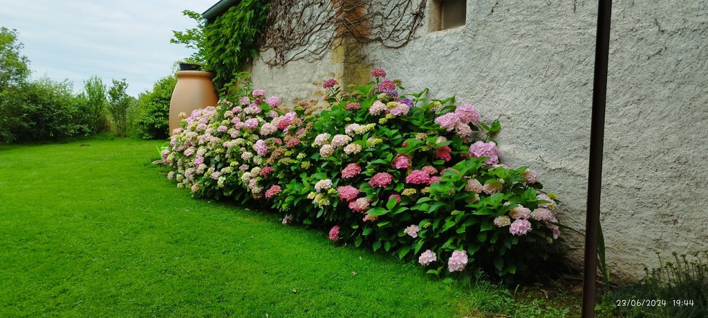 Others 4, Le Charbonnet, Saône-et-Loire
