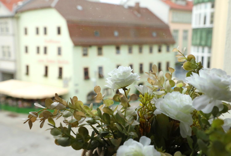 Neue Pension Stadtmitte Jena, Jena