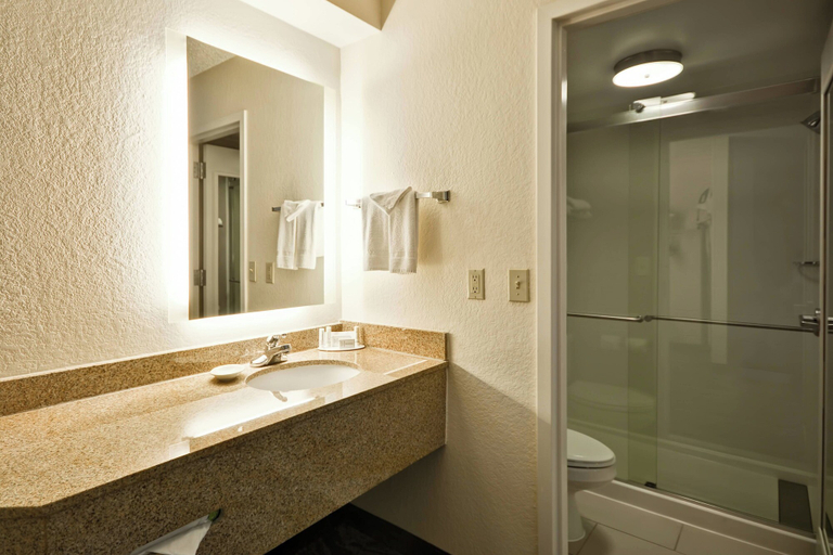 Bathroom 5, SpringHill Suites by Marriott San Antonio Medical Center/NW, Bexar