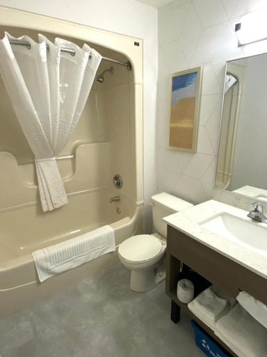 Bathroom 5, Comfort Inn St. Catharines, Niagara