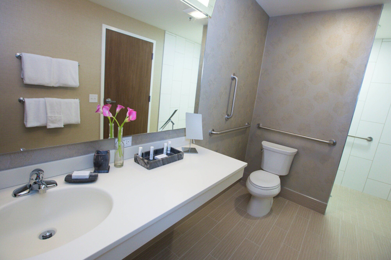 Bathroom 4, Courtyard Philadelphia Springfield, Delaware