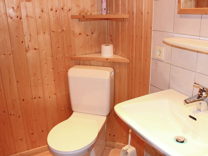 Bathroom 3, Chalet in Sibratsgfall near Ski Slopes, Bregenz