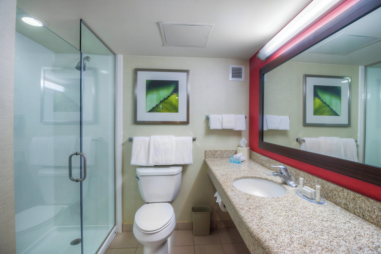 Bathroom 5, Courtyard Killeen Marriott, Bell