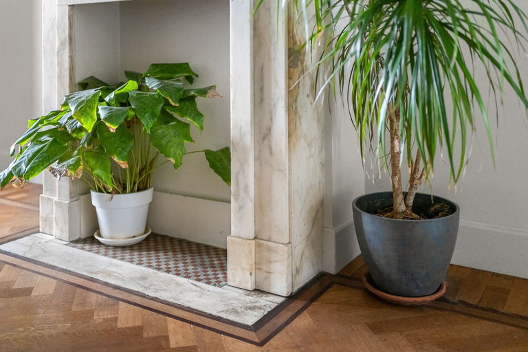 Interior 4, Luxurious Modern Apartment in Antwerp, Belgium, Antwerpen