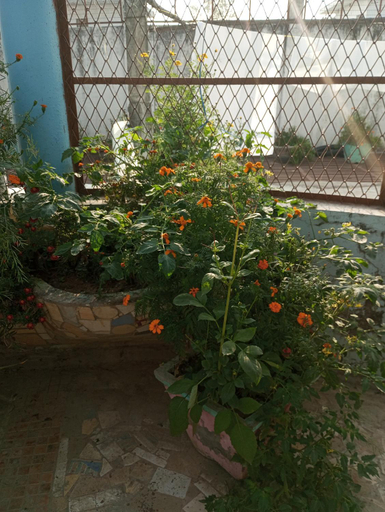Others 3, Raghav StayHome, Faizabad