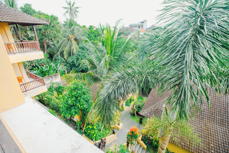 Scenery 22
