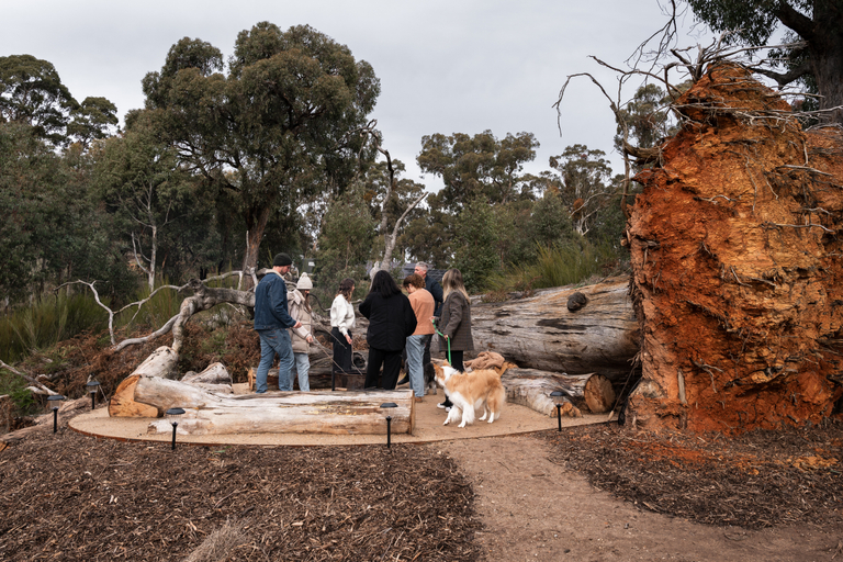 Exterior & Views 4, CABN Hahndorf, Adelaide