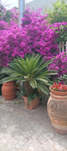 Others 2, B&B Villa Machi, Cosenza
