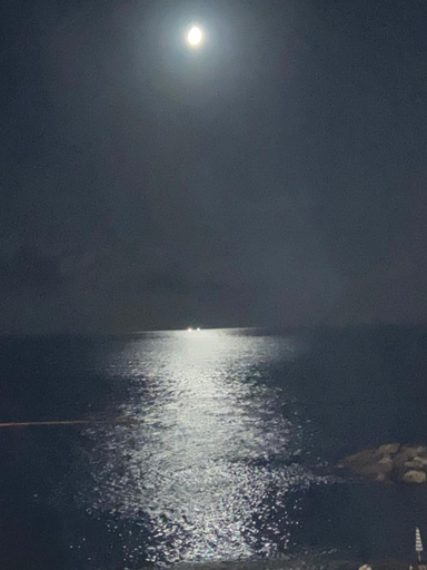 the sea at .. house, Genova