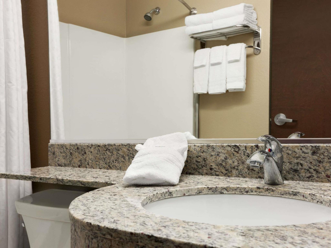 Bathroom 4, Microtel Inn & Suites By Wyndham Pecos, Reeves