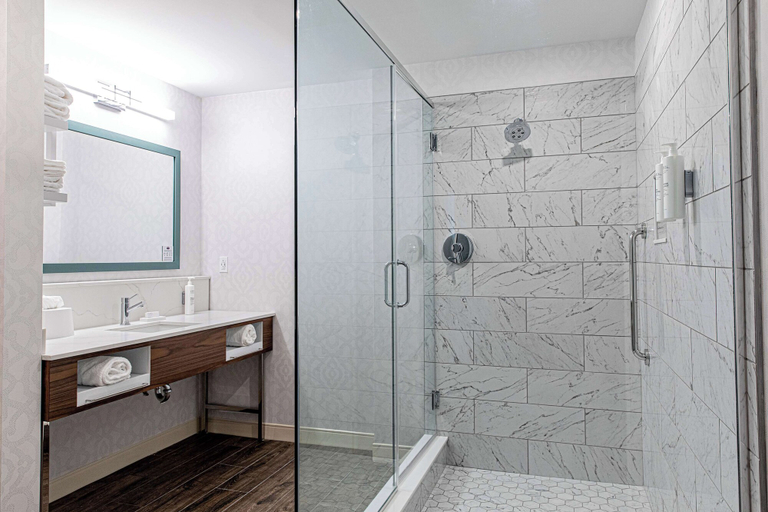 Bathroom 4, Hampton Inn & Suites Charleston/West Ashley, Charleston