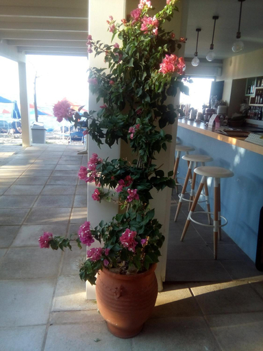 Food & Drinks 2, Melina Beach, Crete
