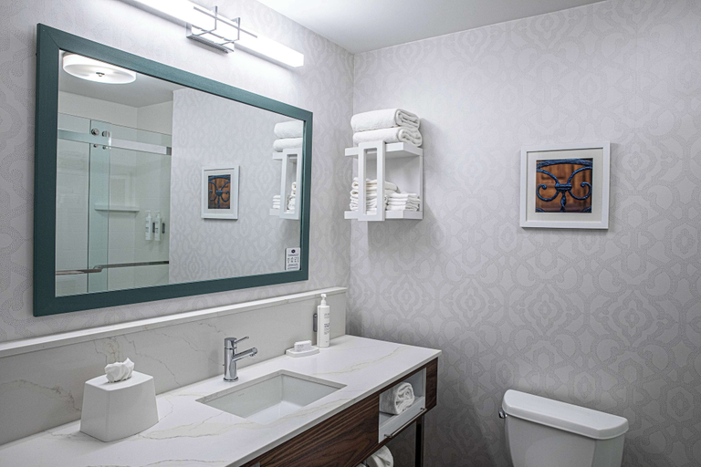 Bathroom 4, Hampton Inn & Suites Charleston/West Ashley, Charleston