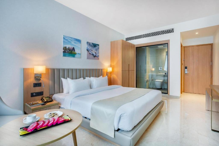 Hotel PLAZA International near Delhi airport, West