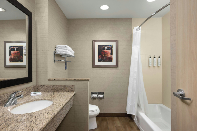 Bathroom 4, Fairfield Inn & Suites Moscow, Latah