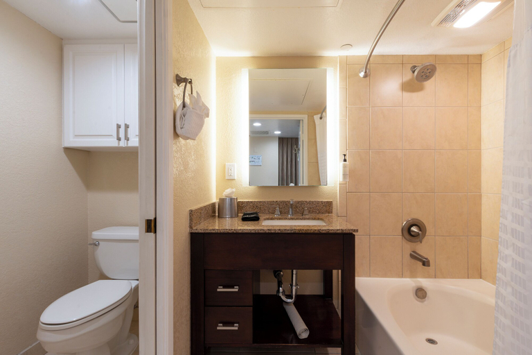 Bathroom 5, Coronado Beach Resort, San Diego