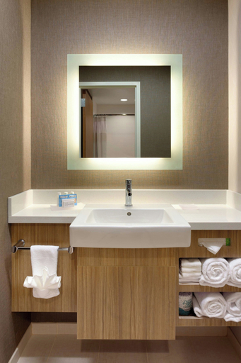 Bathroom 3, SpringHill Suites by Marriott Moab, Grand