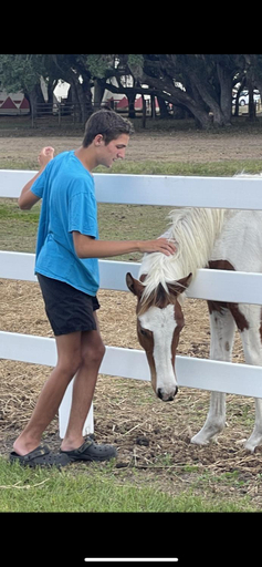 Rent Glampings in Polk, Florida - Specials Promos & Discounts