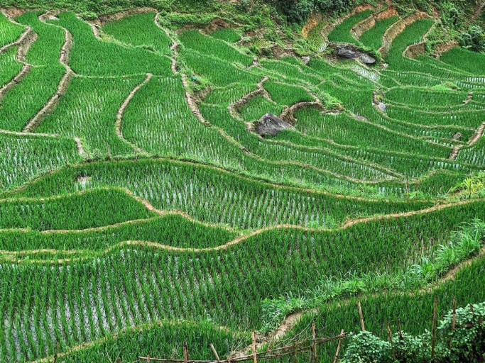 Others 4, Larosa Homestay Sapa, Sa Pa