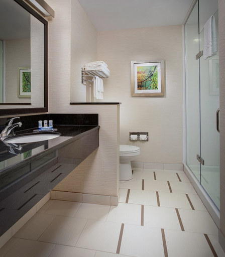 Bathroom 4, Fairfield Inn & Suites by Marriott Austin Buda, Hays