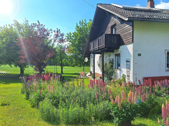 Others 5, Pension Schneider, Regen
