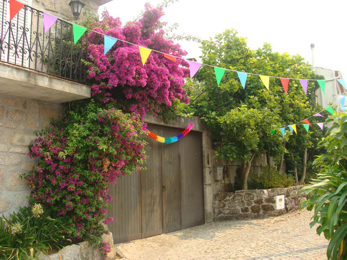 Others 3, Casa das Magnolias de Igarei, Vouzela
