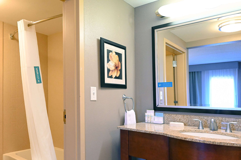 Bathroom 4, Hampton Inn Suites Smithfield, Isle of Wight