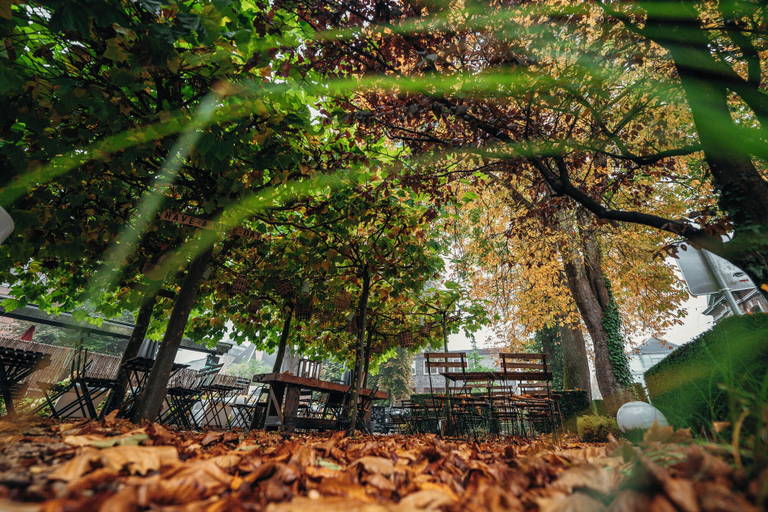 Scenery 14