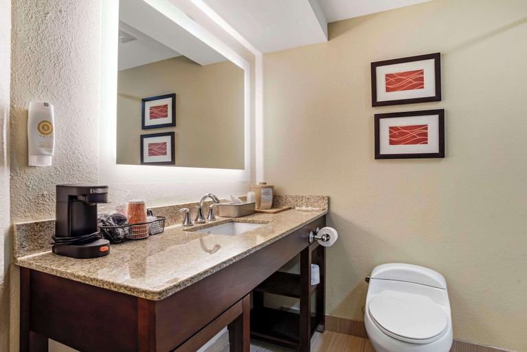 Bathroom 3, Comfort Inn Opelika - Auburn, Lee