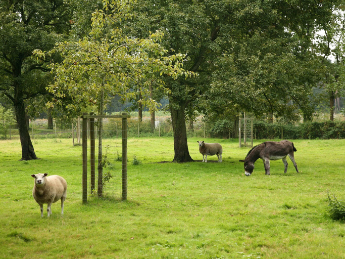 Garden, Beernem Countryside Home, West-Vlaanderen
