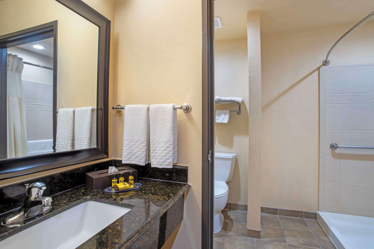 Bathroom 4, Best Western Plus Goliad Inn & Suites, Goliad