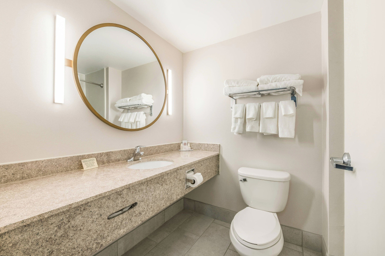 Bathroom 4, Fairfield Inn & Suites by Marriott Greensboro Coliseum Area, Guilford