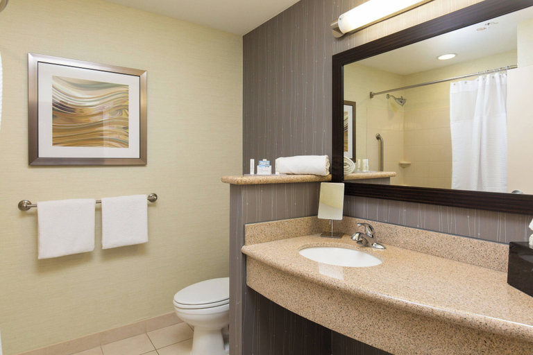 Bathroom 4, Courtyard Des Moines West/Jordan Creek, Dallas