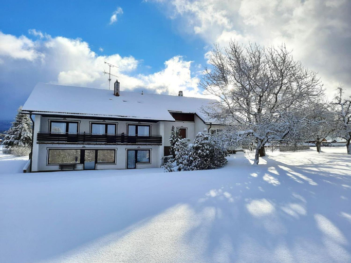 Others 4, Pension Schneider, Regen