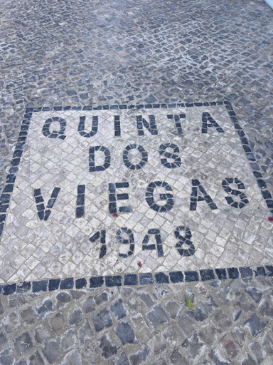 Exterior view 5, Quinta dos Viegas, Faro