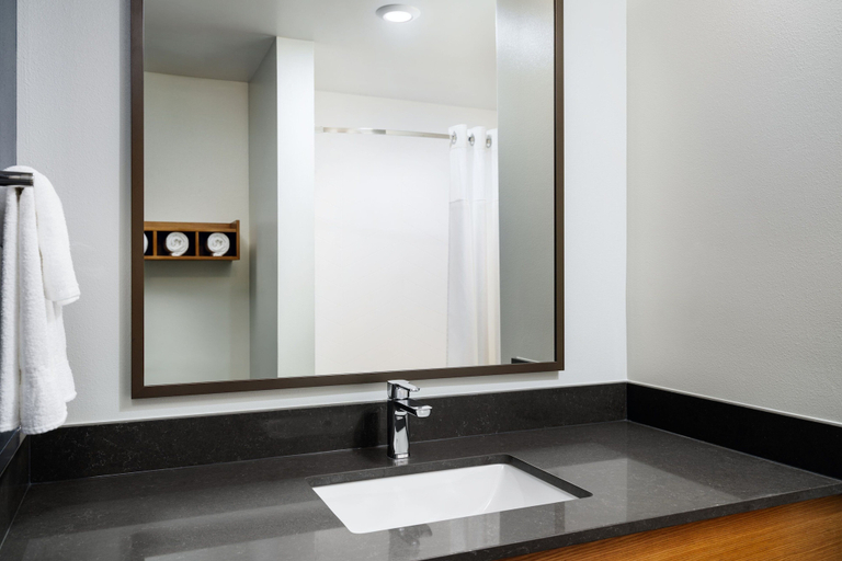 Bathroom 3, Fairfield Inn & Suites by Marriott Bessemer, Jefferson