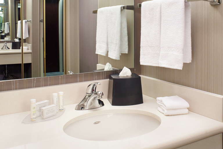 Bathroom 4, Courtyard by Marriott Toledo Rossford/Perrysburg, Wood