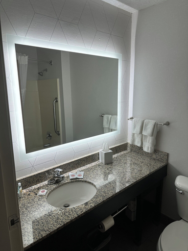 Bathroom 4, Comfort Suites Clackamas, Clackamas