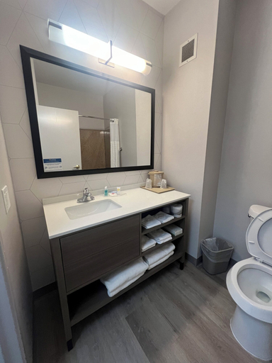 Bathroom, Comfort Suites San Angelo near University, Tom Green
