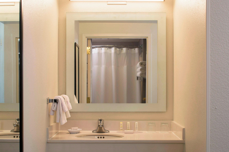 Bathroom, Springhill Suites By Marriott Chicago Lincolnshire, Lake