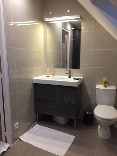 Bathroom 5, Un Figuier Dans Notre Jardin, Loiret