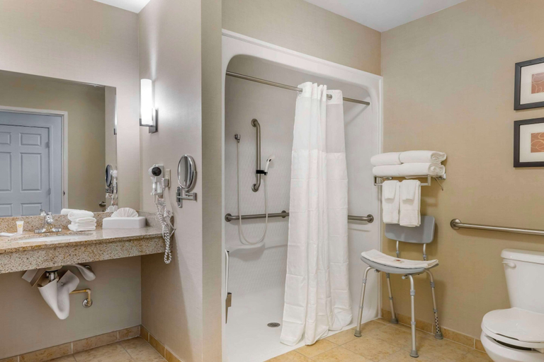 Bathroom 4, Comfort Suites Sarasota - Siesta Key, Sarasota