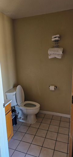 Bathroom 4, Indian Mound Motel, Saint Clair