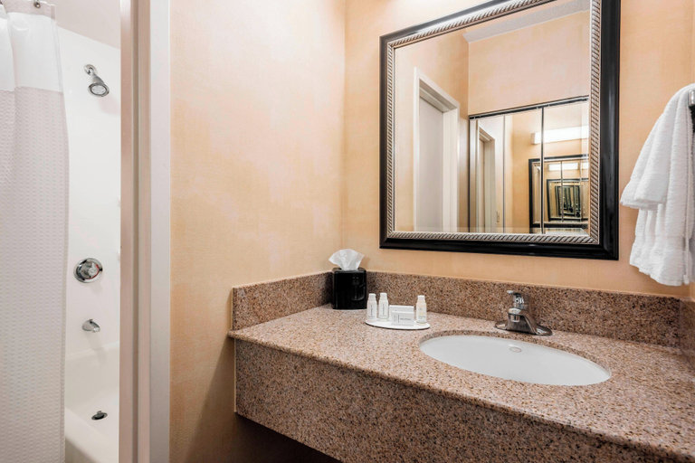Bedroom 4, Courtyard by Marriott Chicago O'Hare, Cook