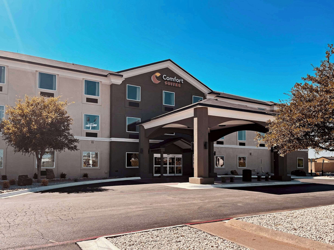 Comfort Suites San Angelo near University, Tom Green