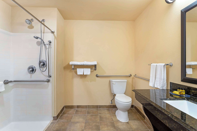 Bathroom 4, Best Western Plus Goliad Inn & Suites, Goliad