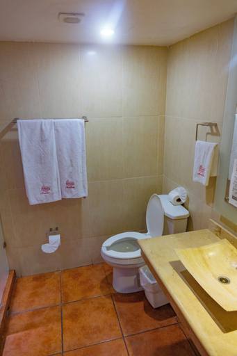 Bathroom 5, Hotel Roma Guadalajara, Guadalajara