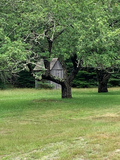 Others 5, Meta Goldin Farmhouse - Meadow!, Hancock