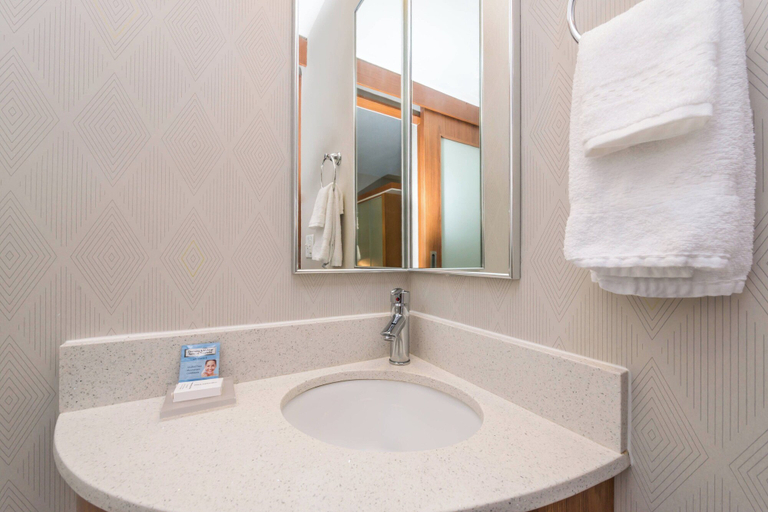 Bathroom 4, SpringHill Suites Huntsville Downtown, Madison