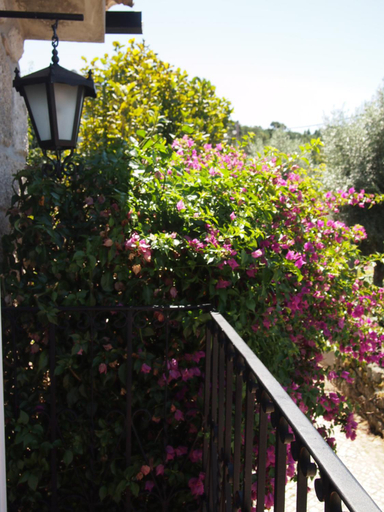 Others 5, Casa das Magnolias de Igarei, Vouzela